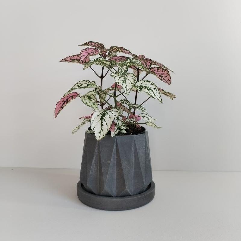 Matera Lirio de Cemento 10.5x10 cm Oscuro - VIRTUAL MUEBLES