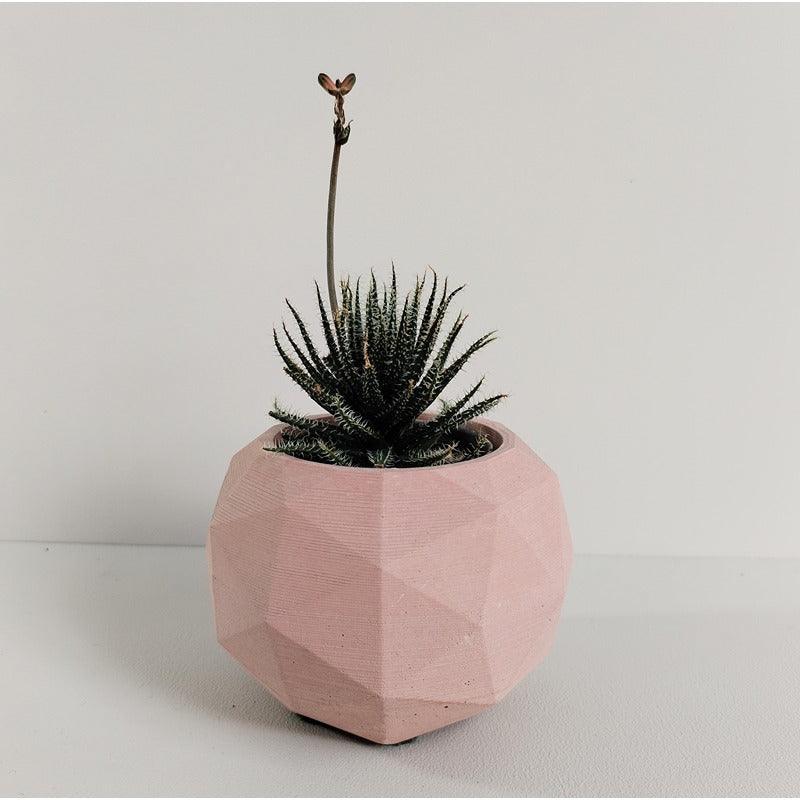 Matera Laia de Cemento 7.5x6.5 cm Palo de Rosa - VIRTUAL MUEBLES