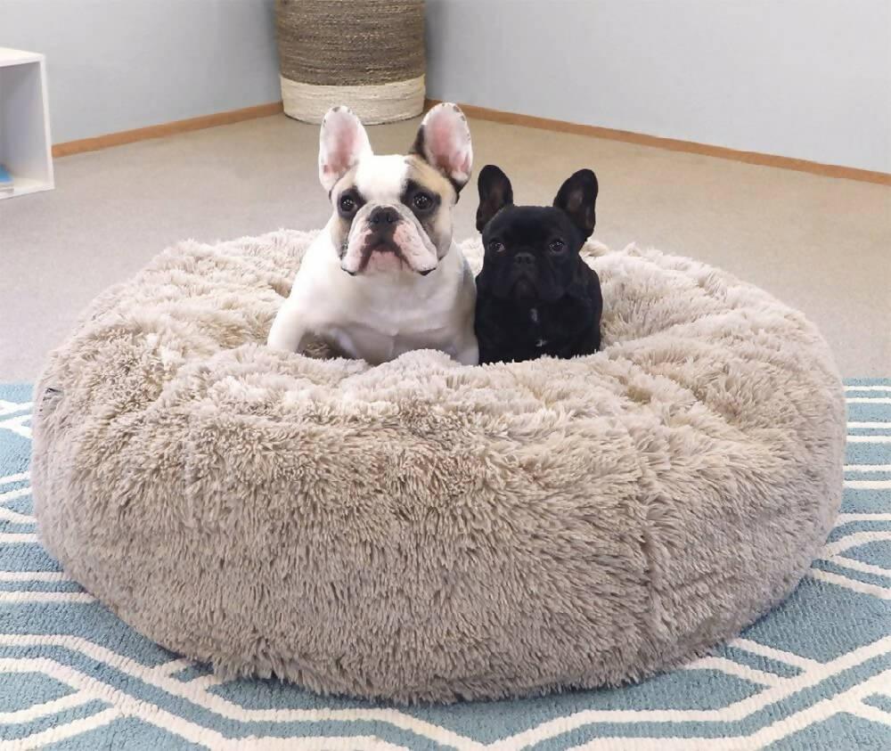 Cama Puff Peluda para Perro o Gato Raza Pequeña Beige - VIRTUAL MUEBLES